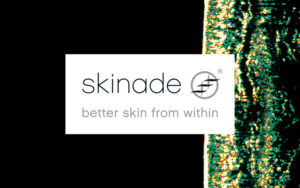 skinade cortex