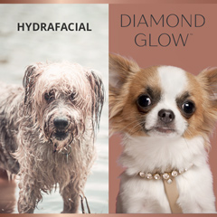 diamondglow vs hydrafacial
