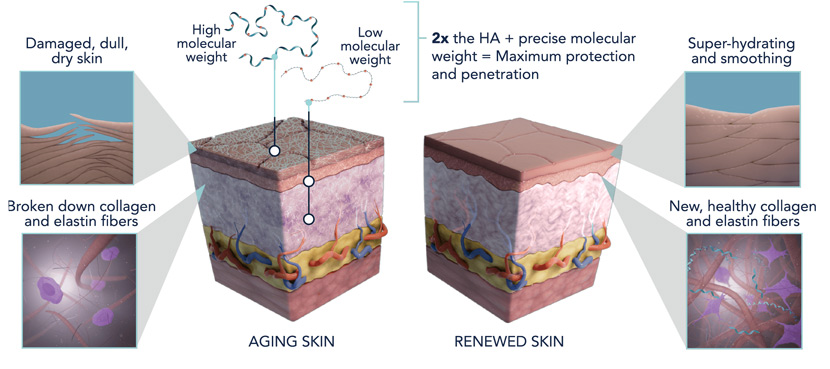 hydrinity skin science diagram - how it works